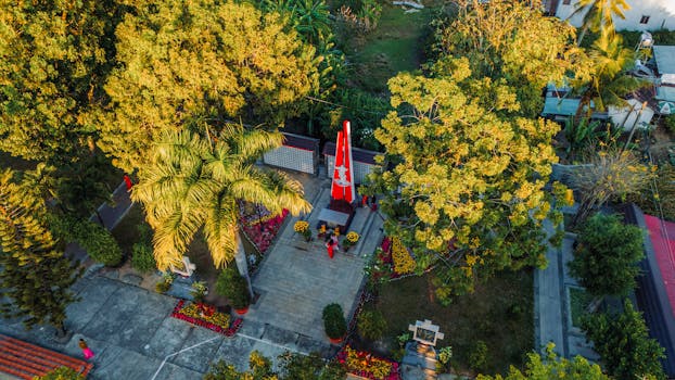 A serene landscape of a park with trees