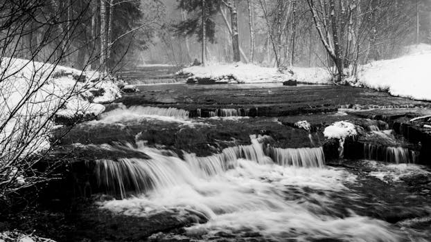 peaceful nature scene