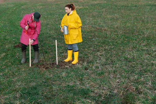 volunteers planting trees