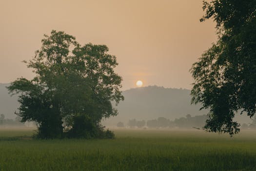 calm nature scene