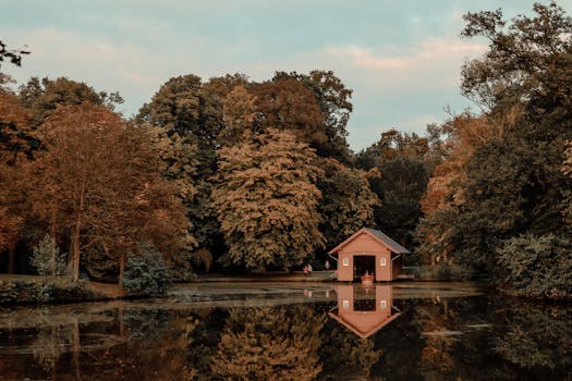 tranquil lake surrounded by trees