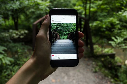 forest app interface